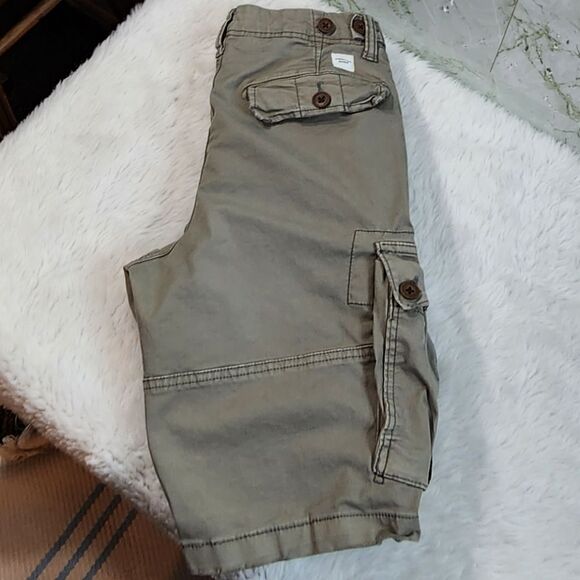 American Eagle Outfitters Other - American Eagle Outfitters Utility/Cargo Shorts